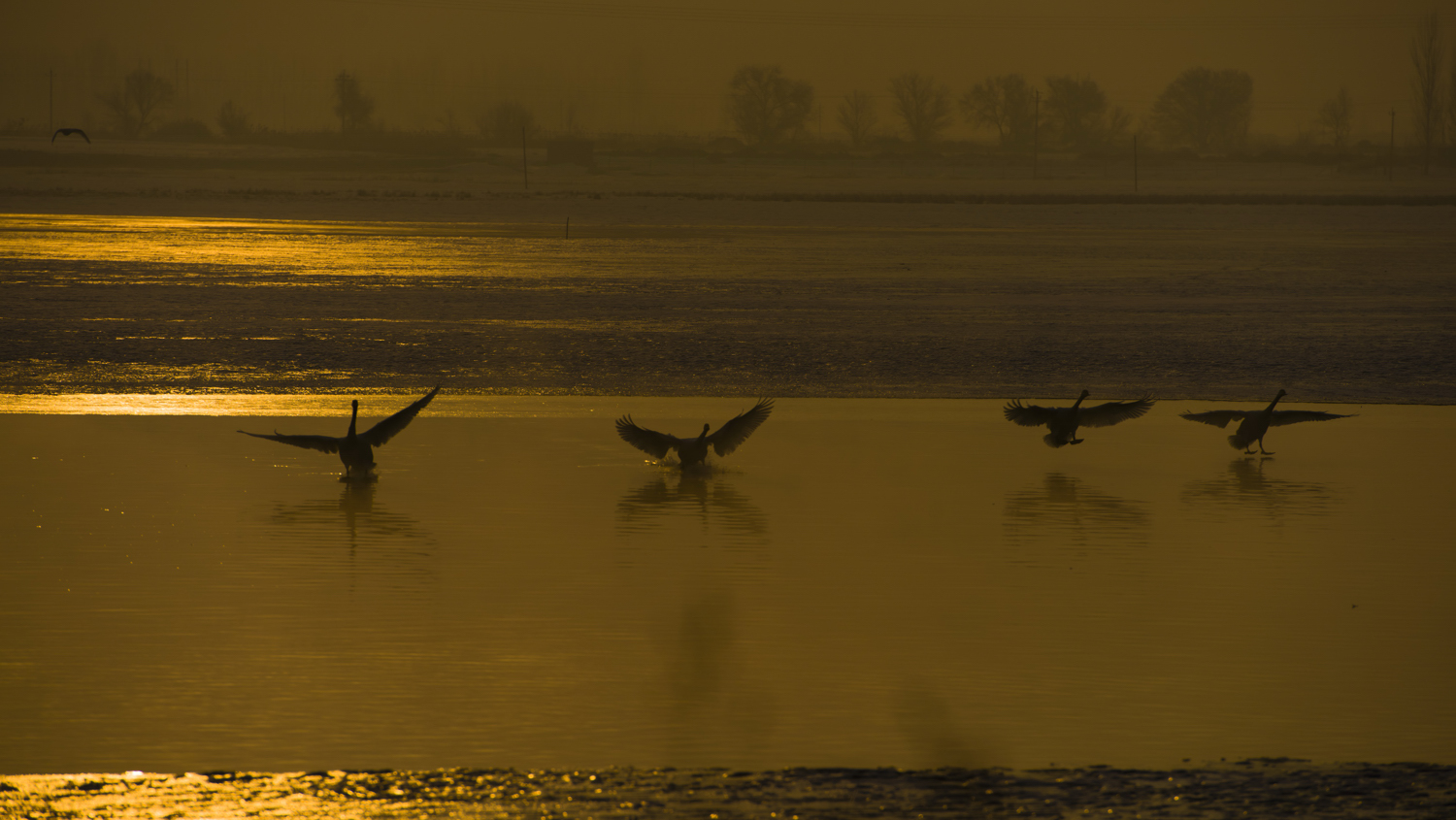 ���Ե����