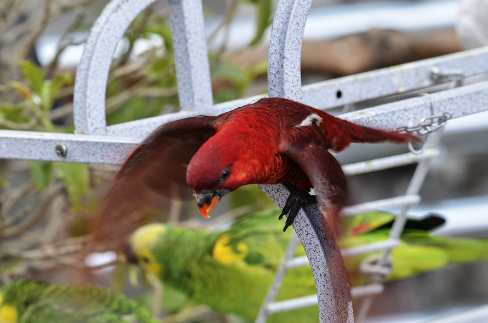 2015��2��23��̫ԭa 2861.jpg