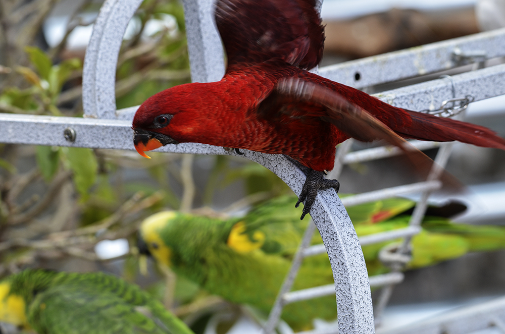 2015��2��23��̫ԭ a2881.jpg