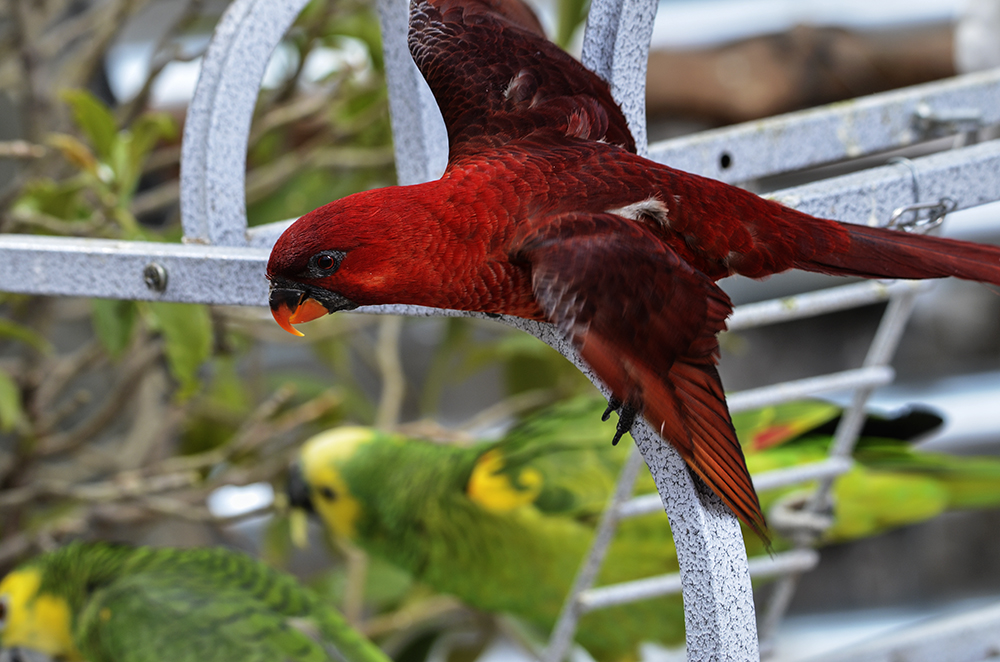 2015��2��23��̫ԭ a2901.jpg