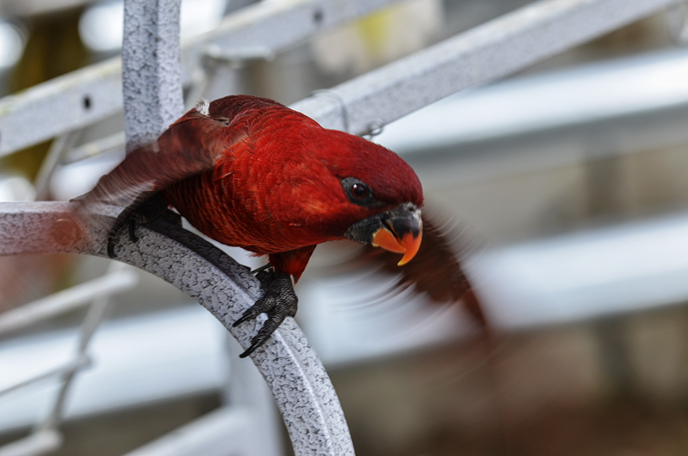 2015��2��23��̫ԭ a2971.jpg