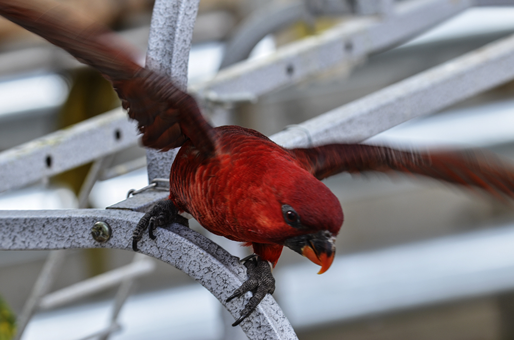 2015��2��23��̫ԭ a2941.jpg