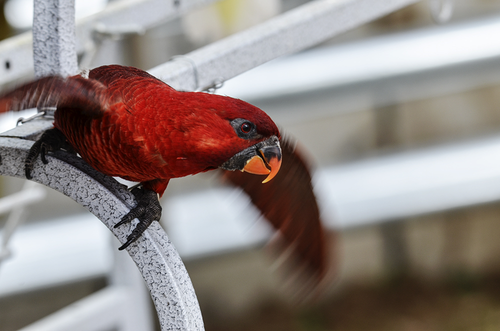 2015��2��23��̫ԭ a3001.jpg