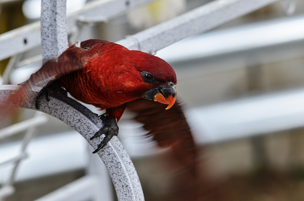 2015��2��23��̫ԭ a2981.jpg