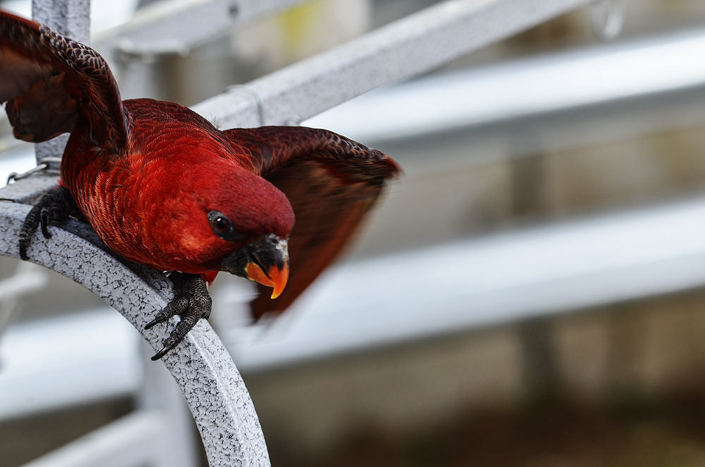 2015��2��23��̫ԭ a3031.jpg