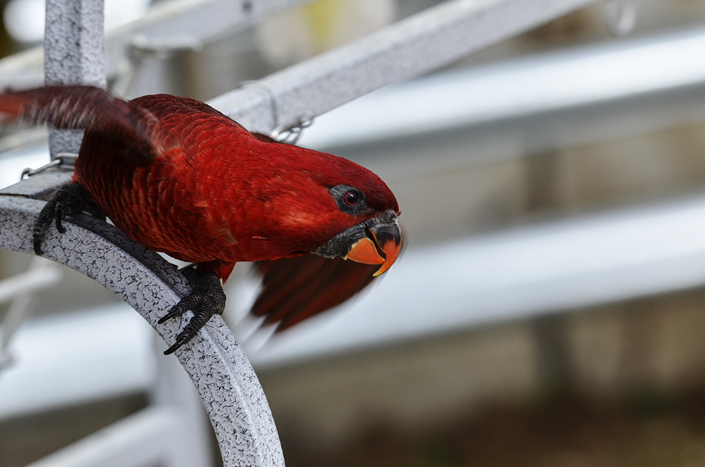 2015��2��23��̫ԭ a3011.jpg