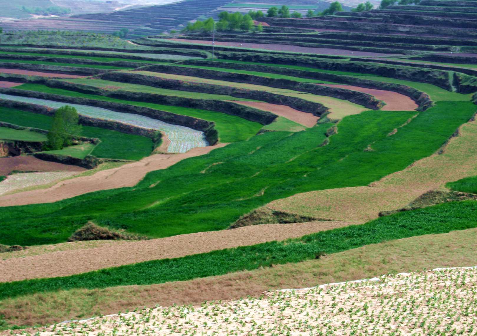 ������ (326)_����1.jpg