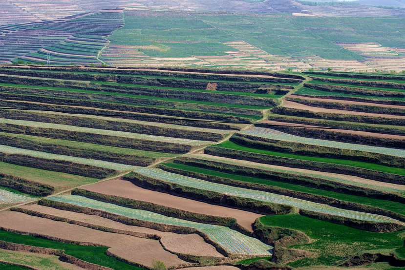 ������ (323)_����.jpg