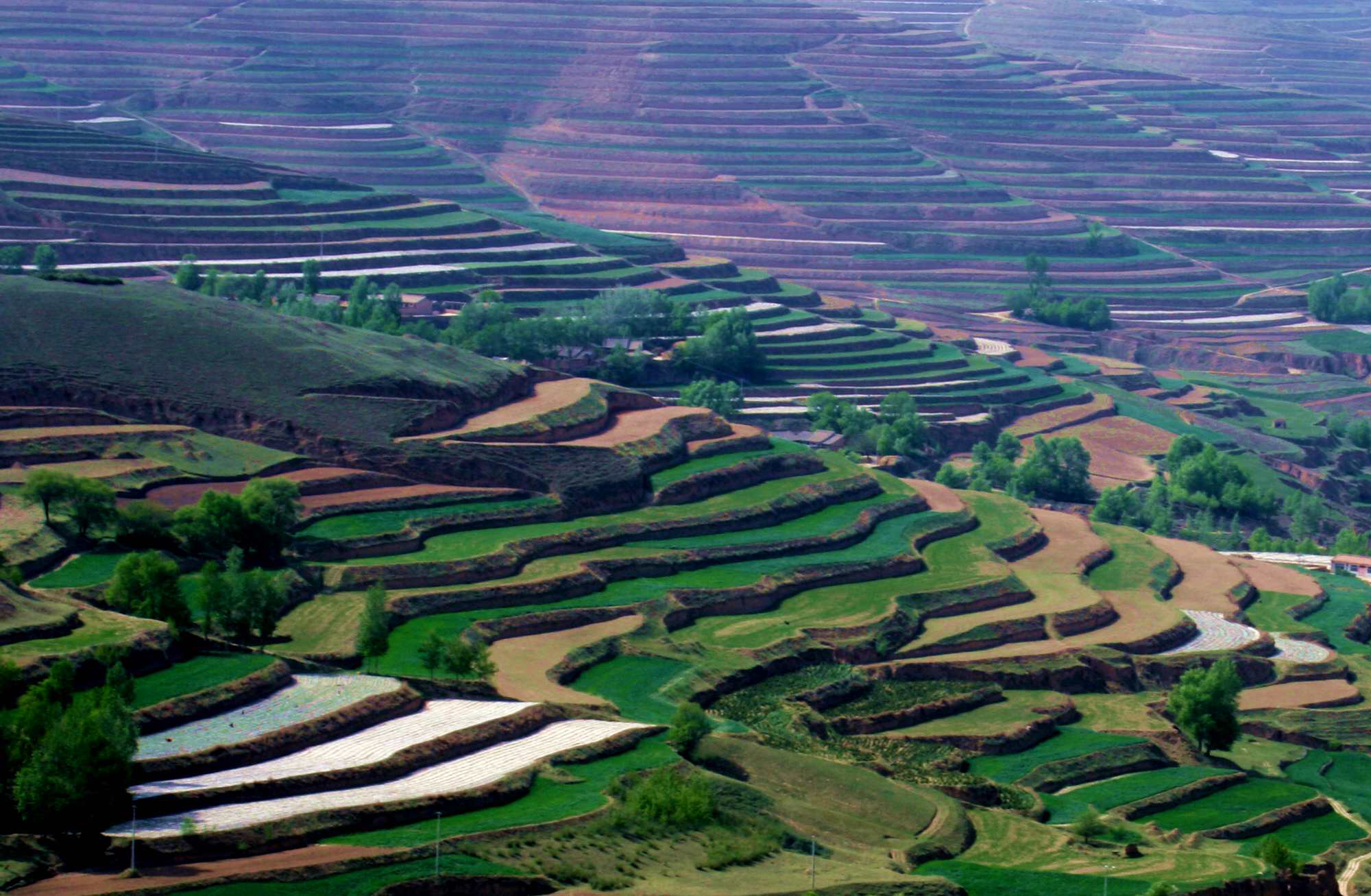 ������ (320)_����1.jpg