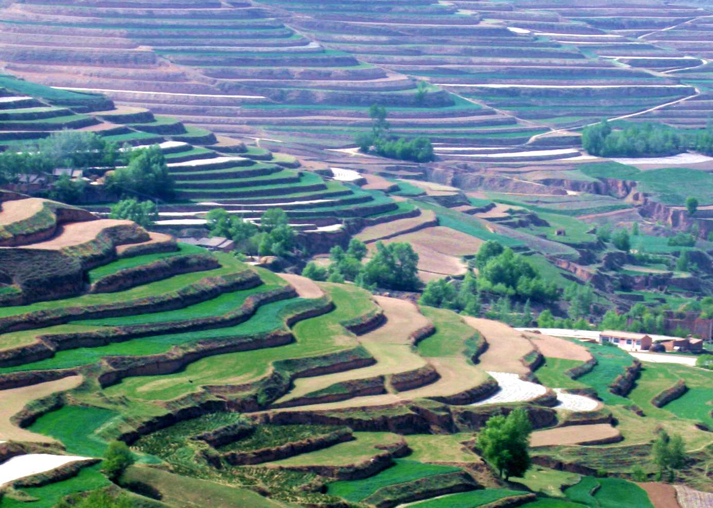 ������ (320)_����2.jpg