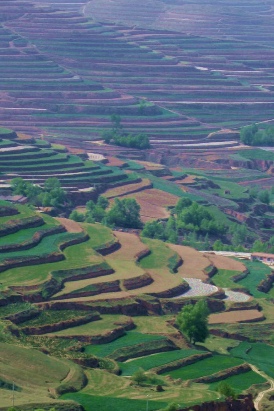 ������ (320)_����3.jpg