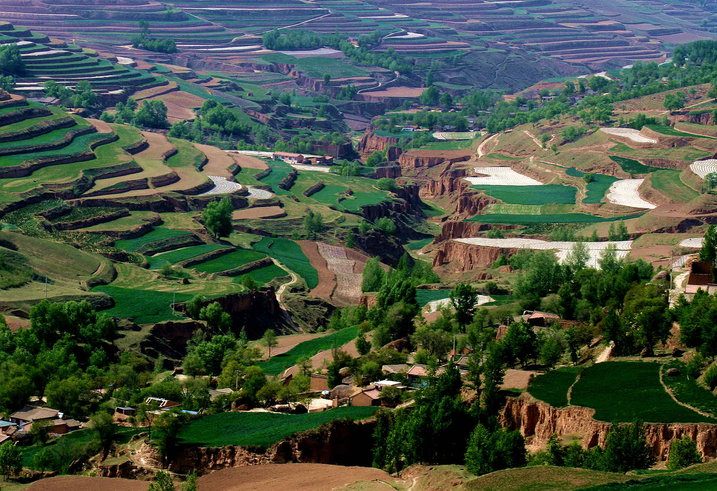 ������ (320)_����5.jpg