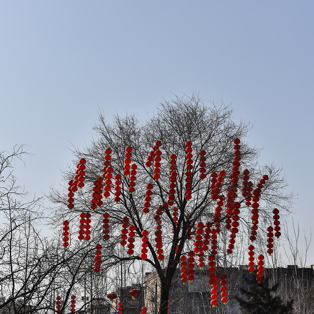 2015��2��23��̫ԭ2 a0131.jpg