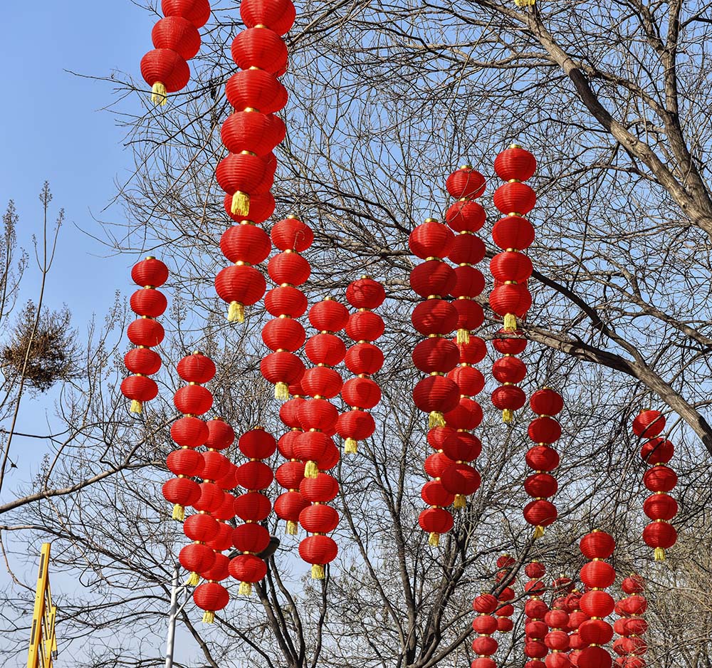 2015��2��23��̫ԭ2 a0061.jpg