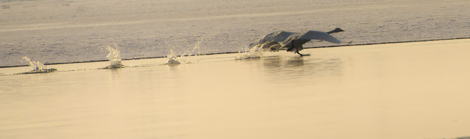 ���ѵ����ķ���