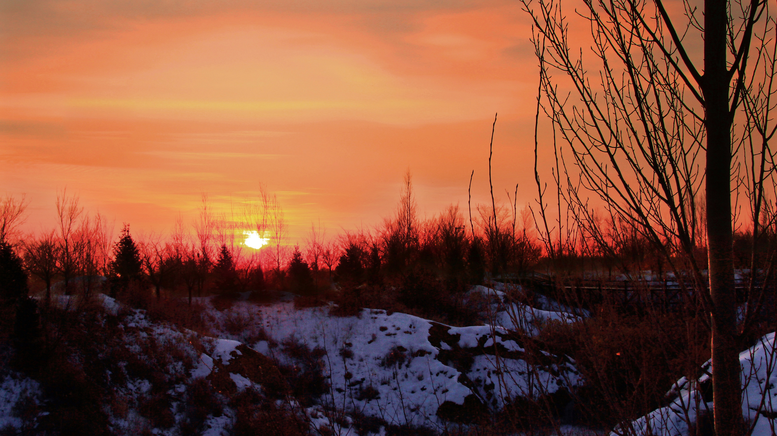 ���ʳ��� (5).jpg