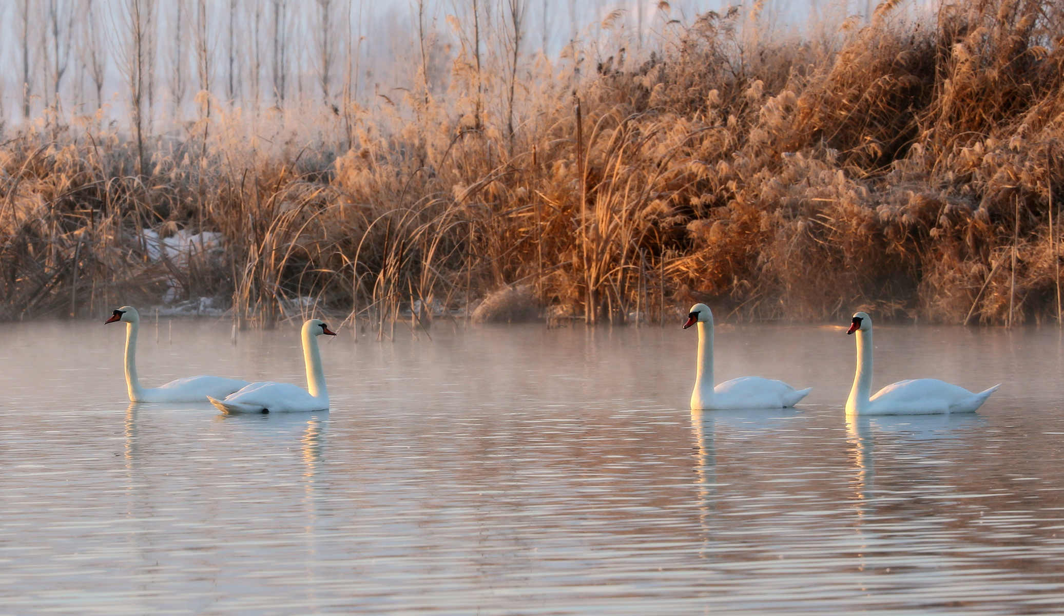 CW2Z4685_���� ������.jpg