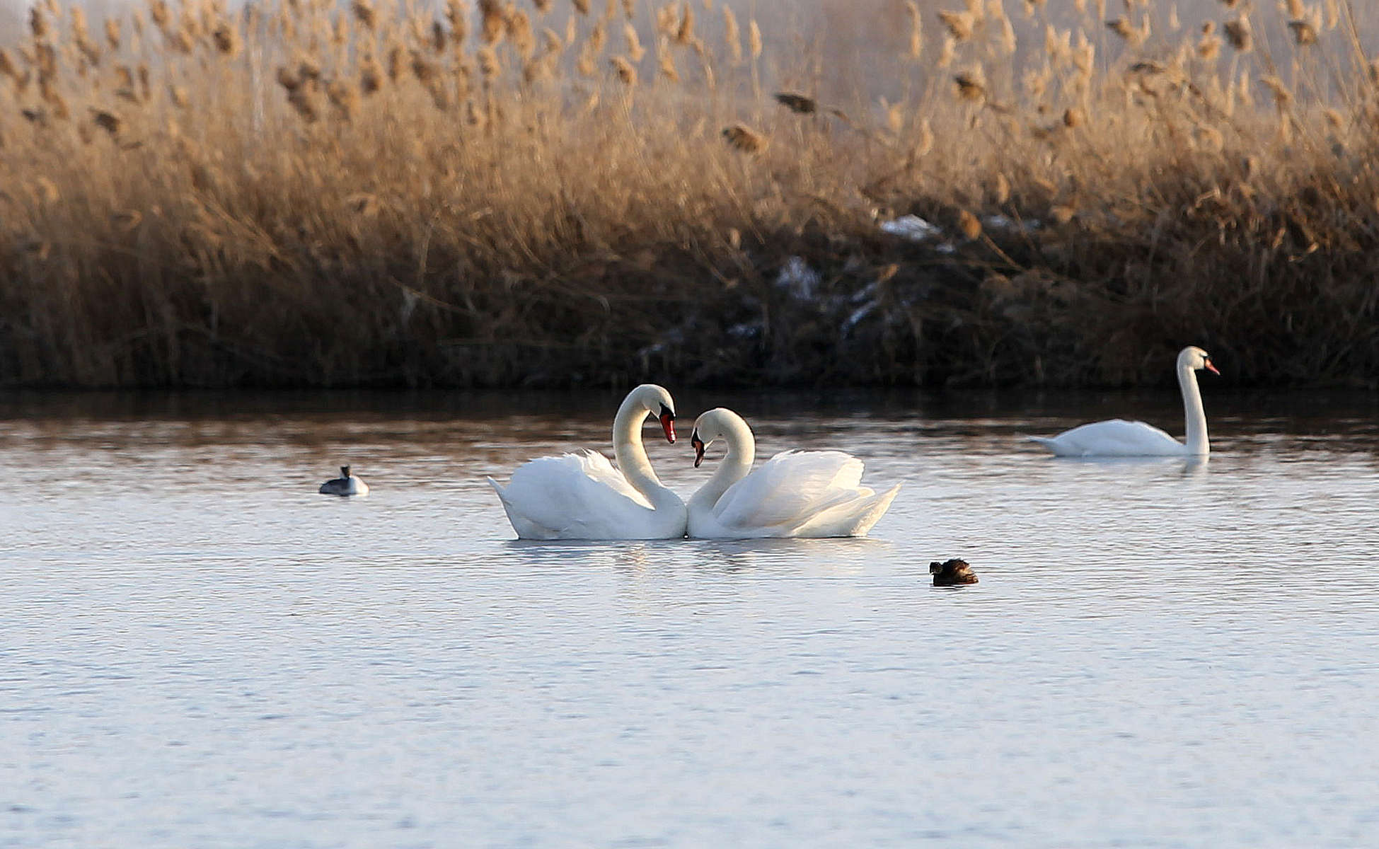 �����죨������ (1).jpg