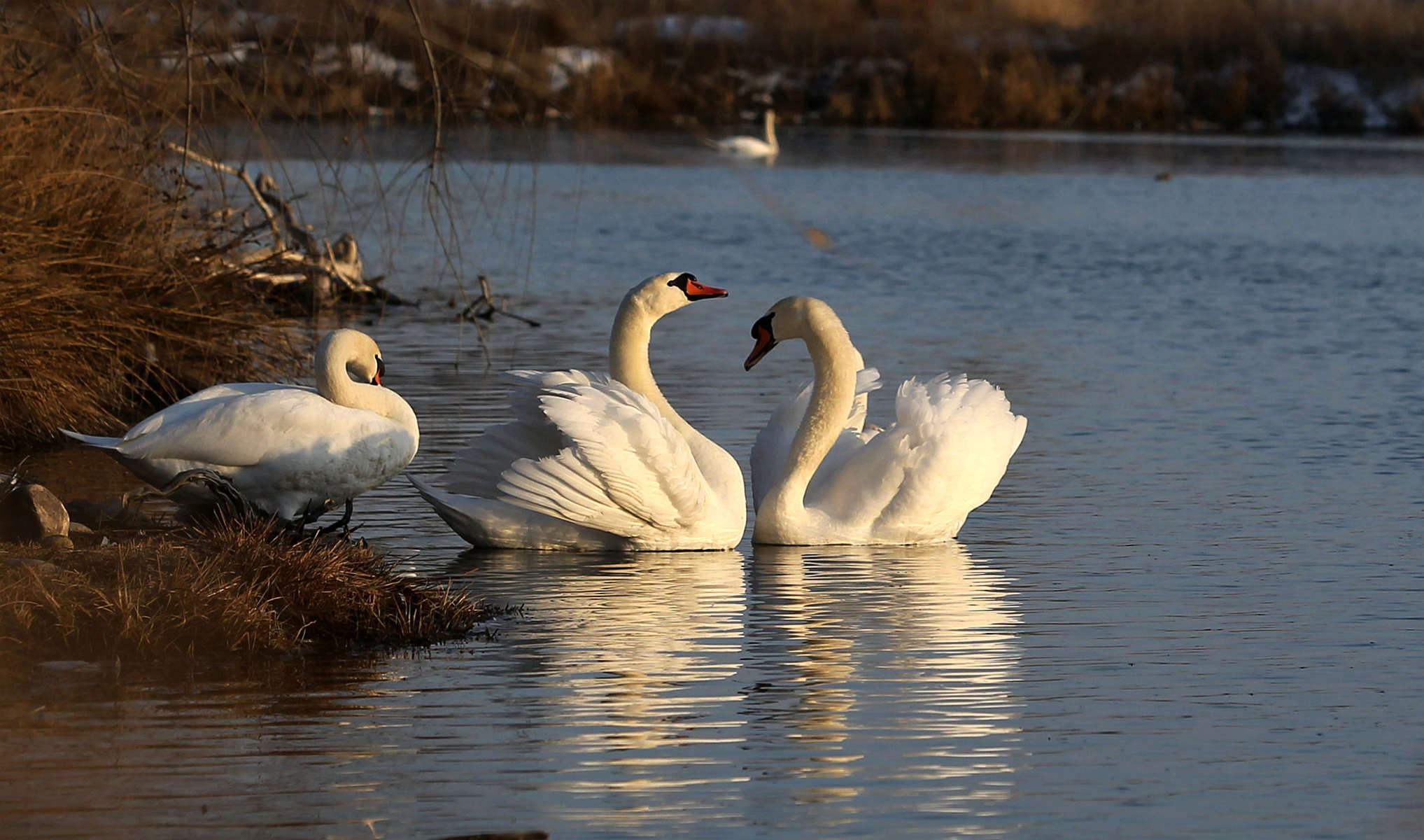 �����죨������ (5).jpg