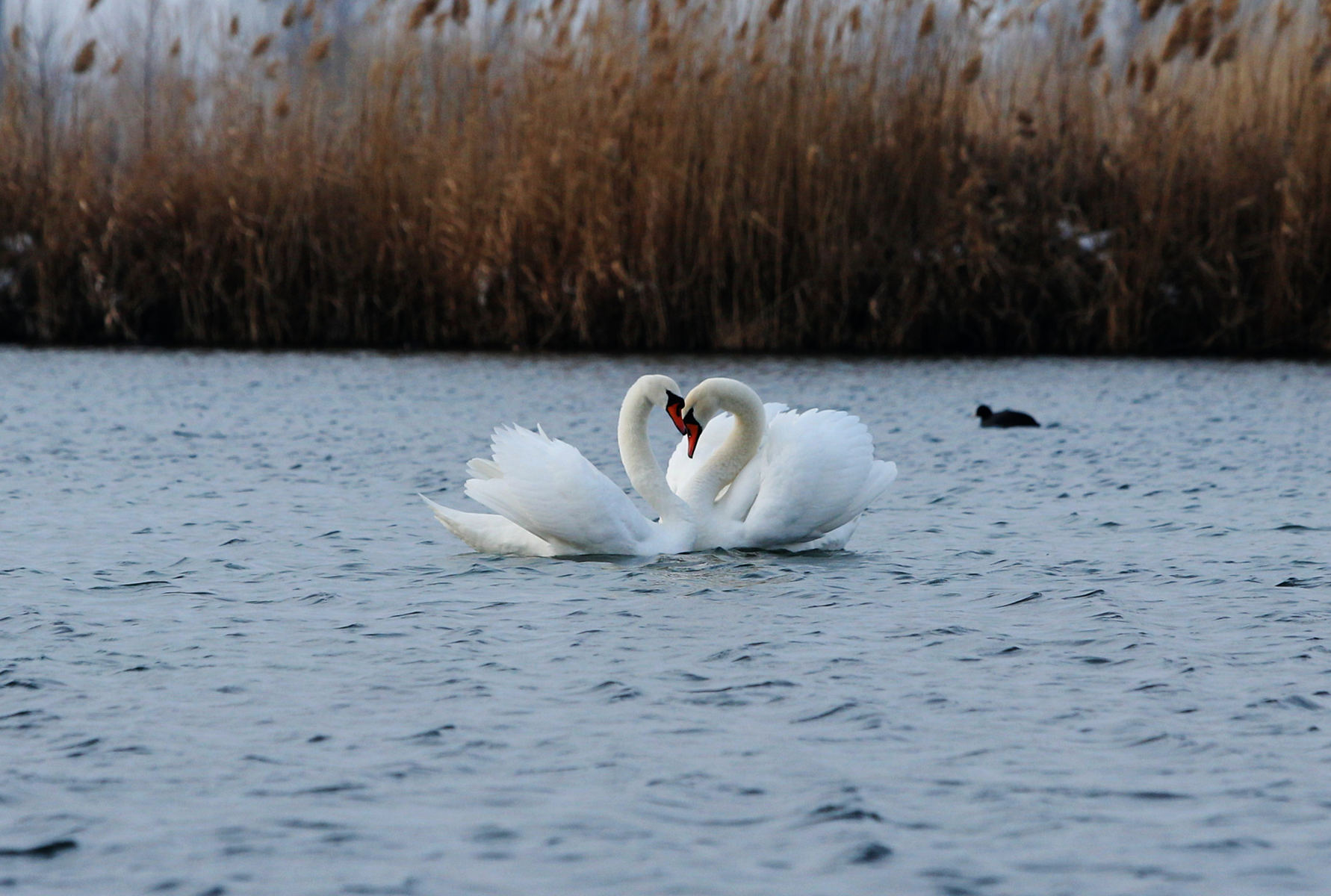 �����죨������ (8).jpg