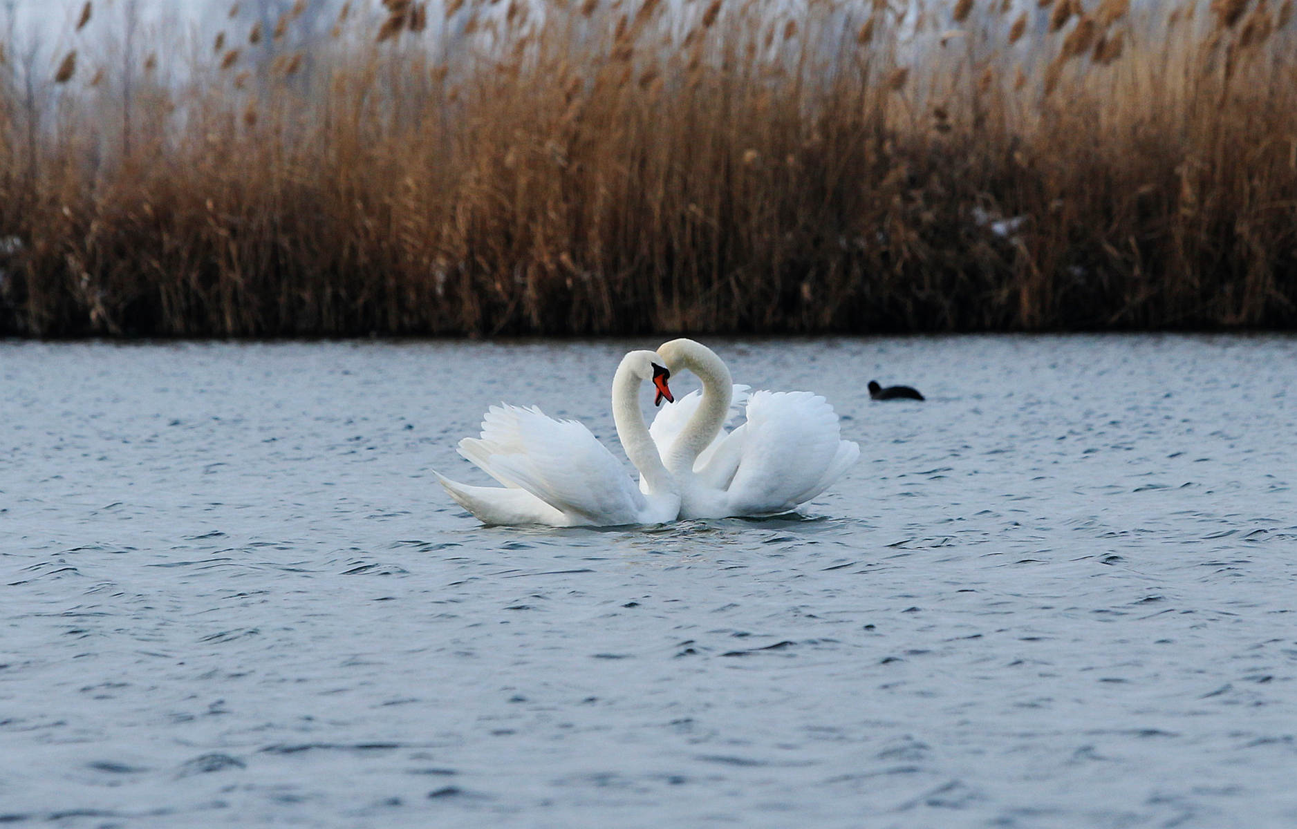 �����죨������ (9).jpg