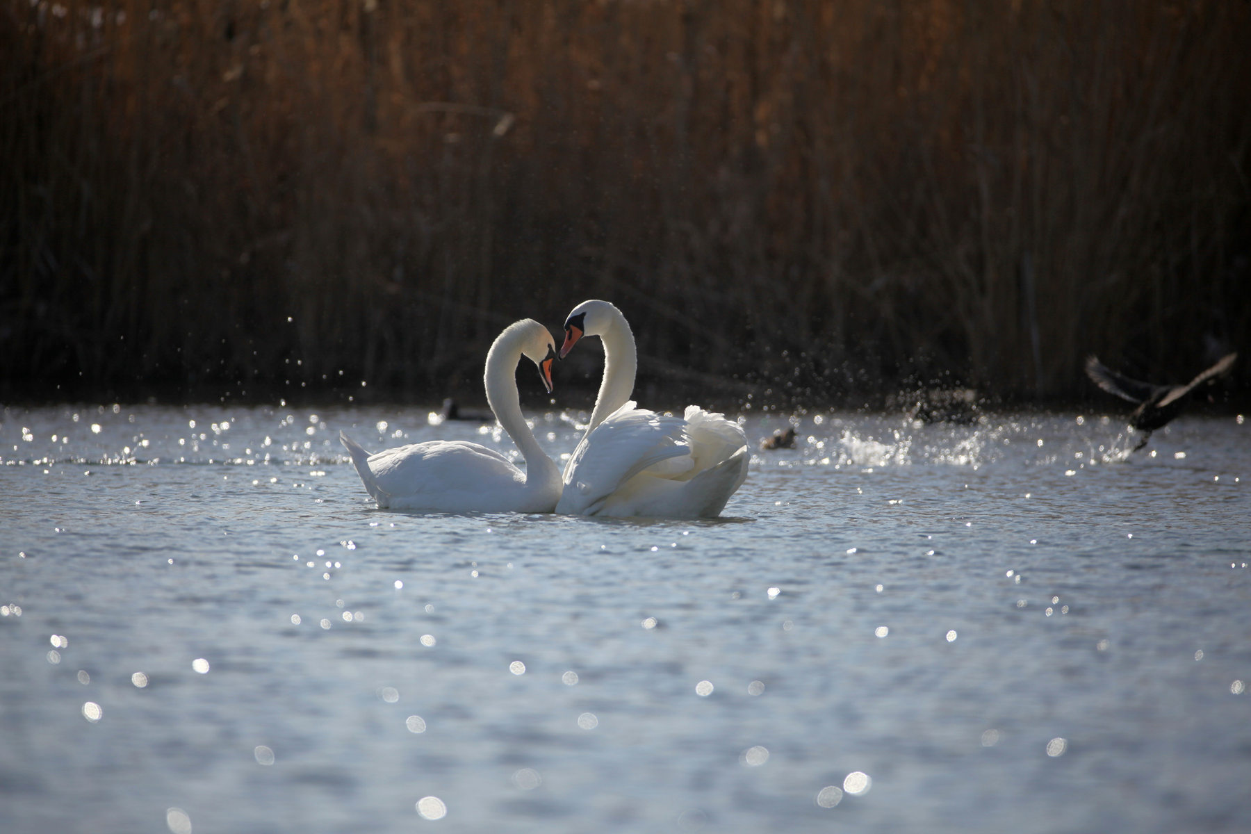 �����죨������ (10).jpg