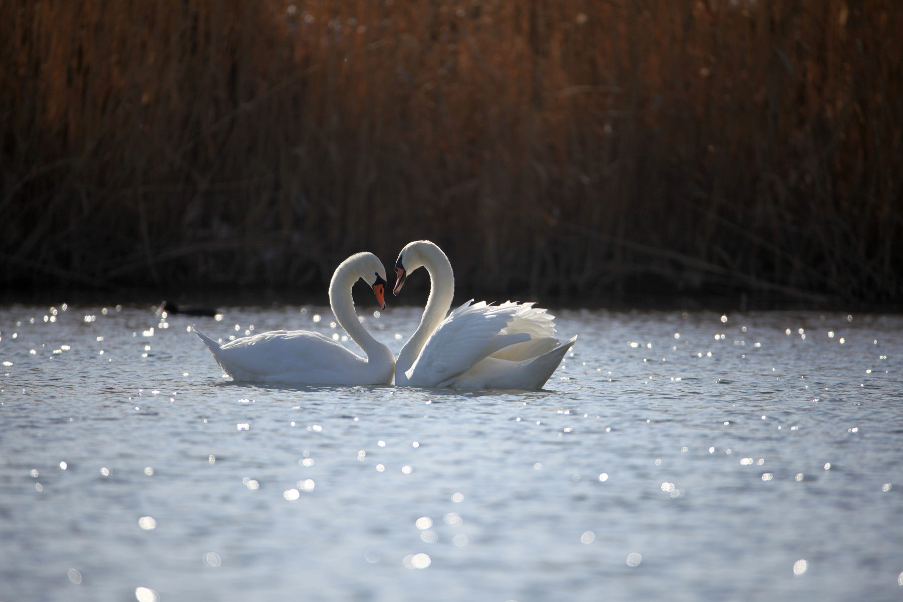 �����죨������ (11).jpg