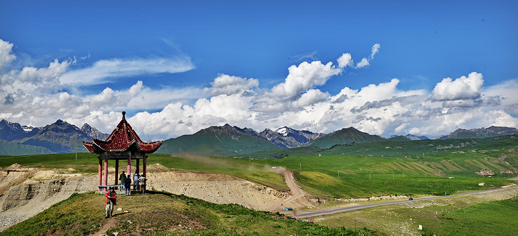 ������   ������