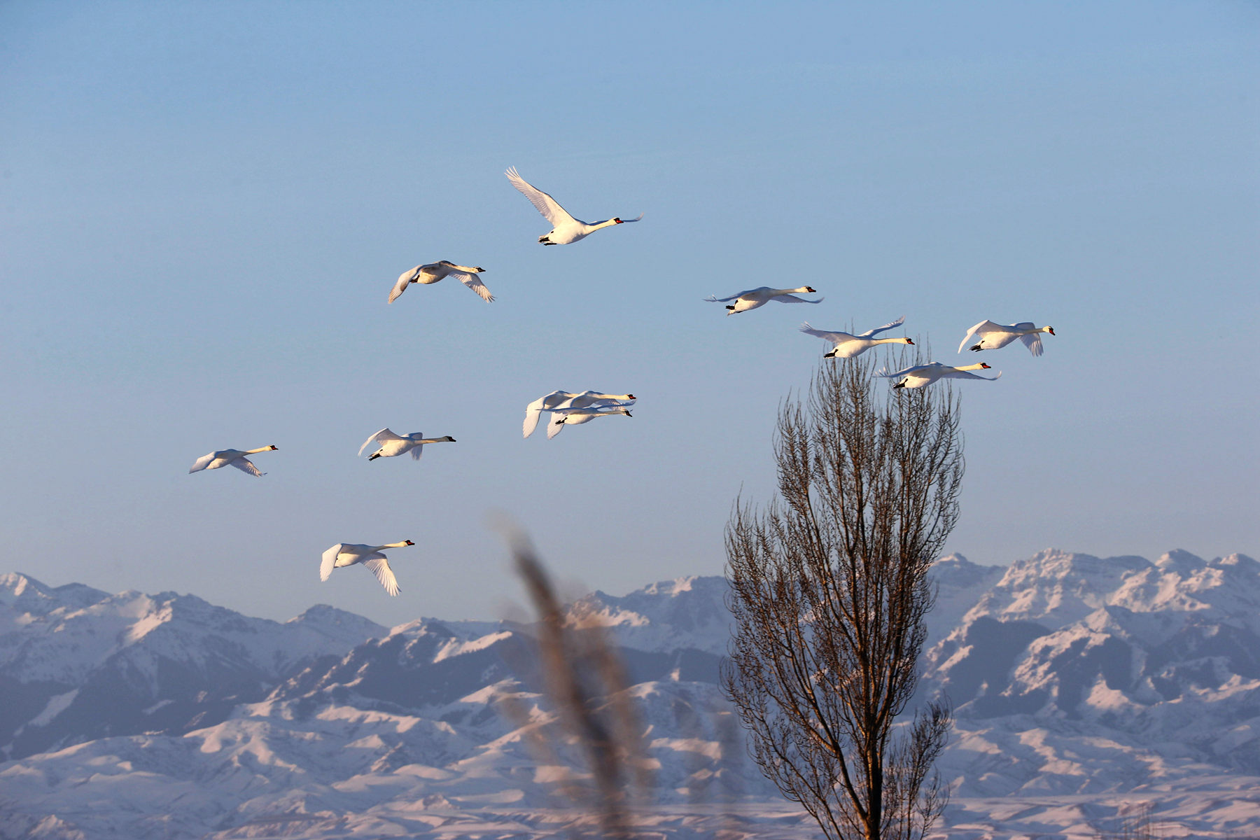 ӭ�ų����������� (1).jpg