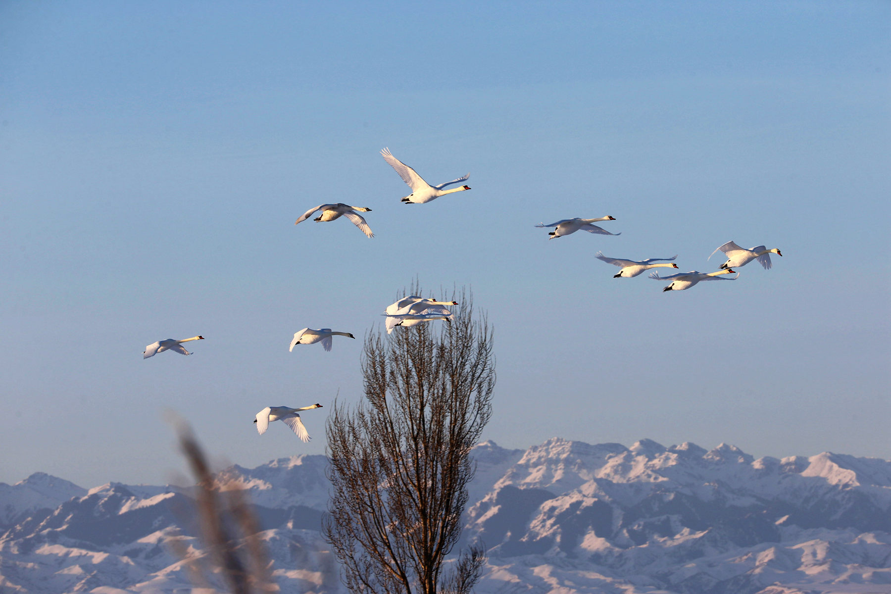 ӭ�ų����������� (2).jpg