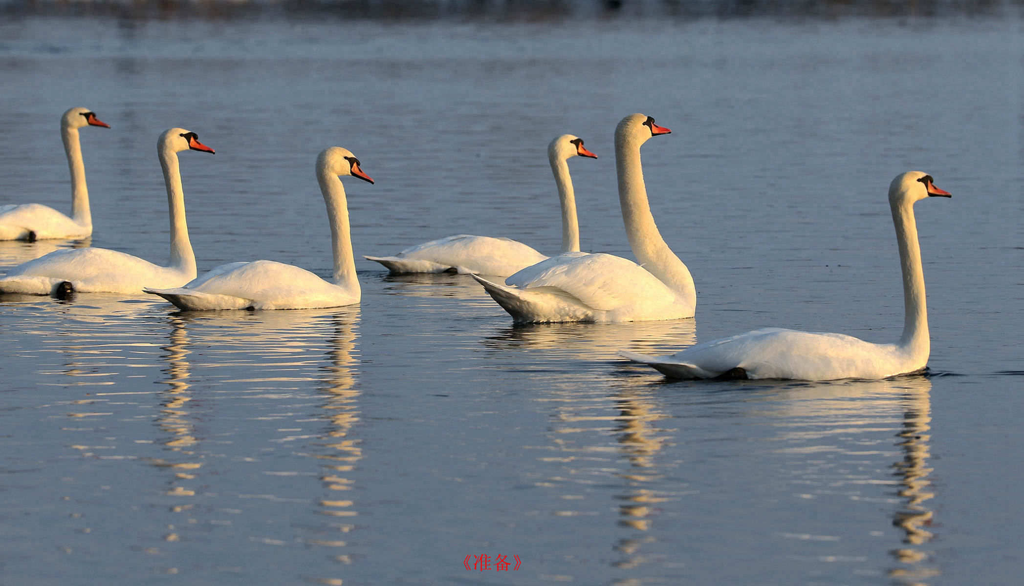 CW2Z3422_�϶��� ��׼����_����.jpg