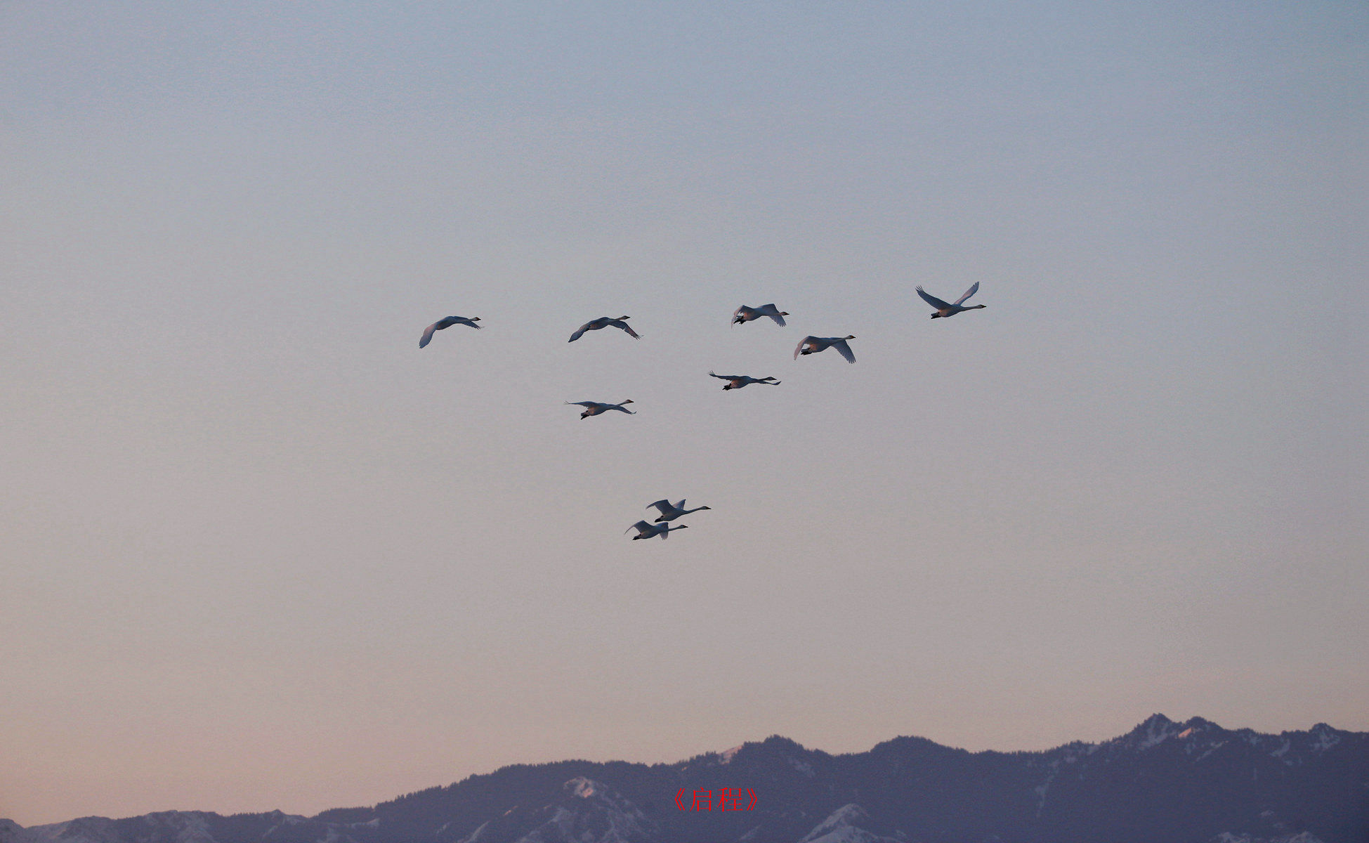 CW2Z4332  �϶���_2_����.jpg