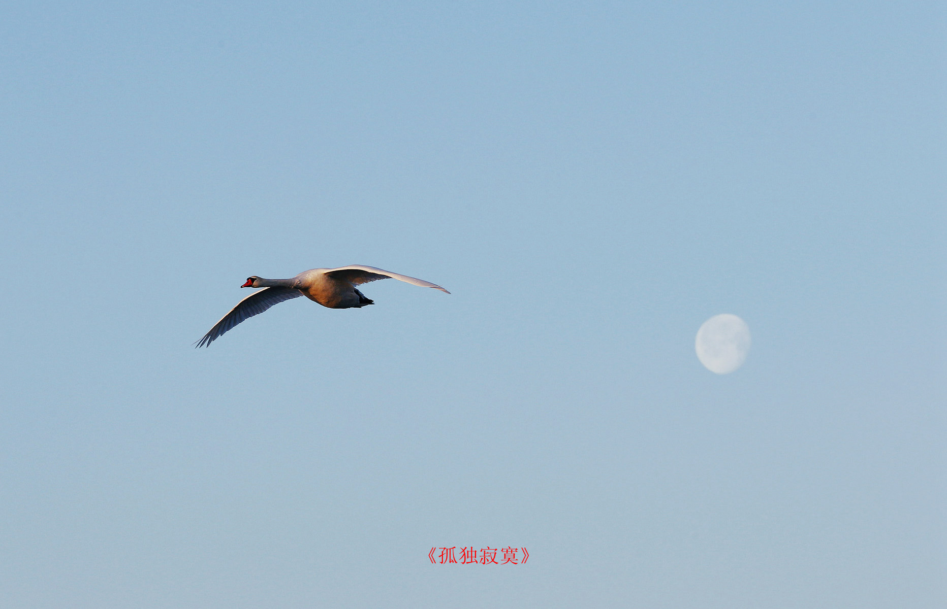 CW2Z4641_�϶��� 5.jpg