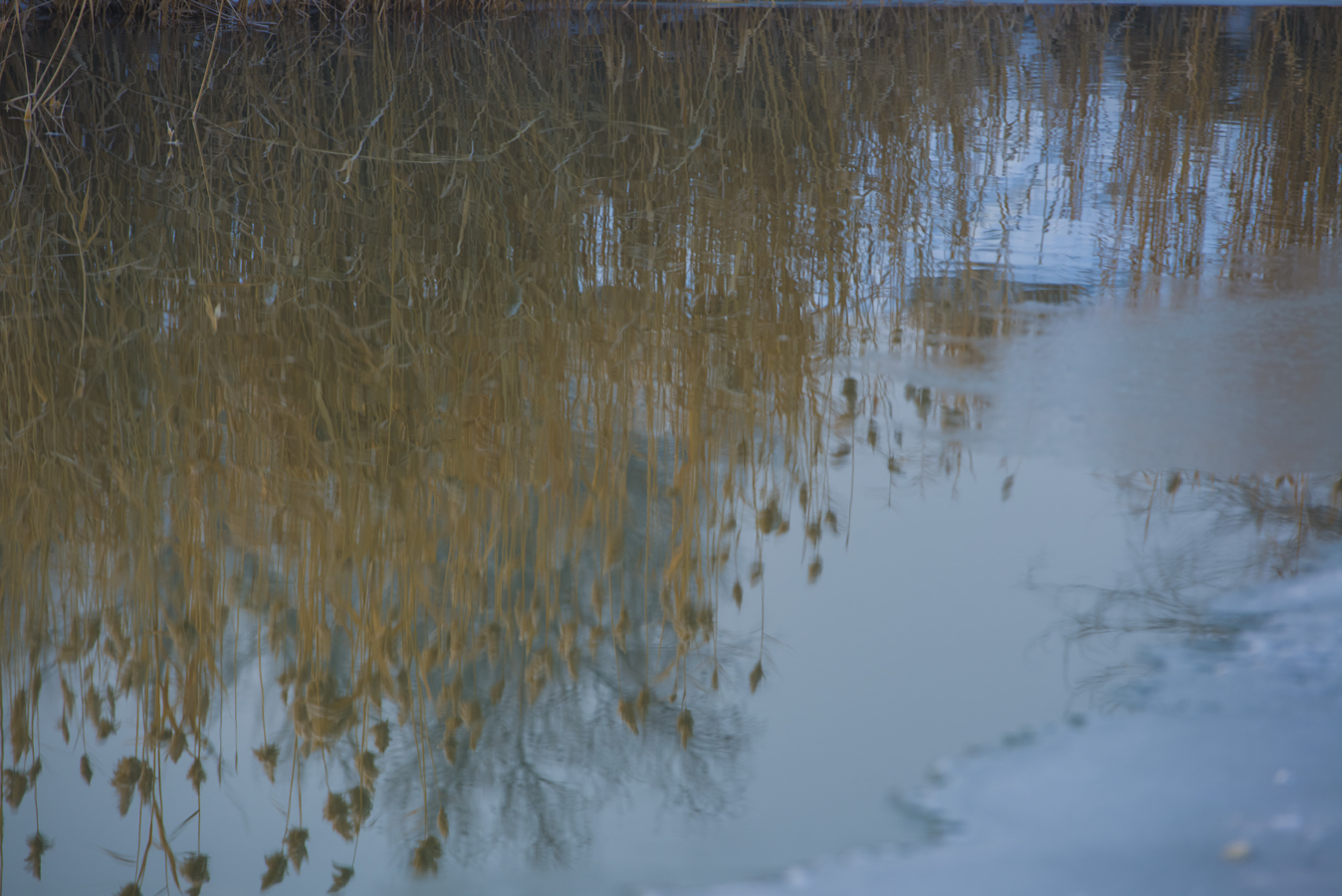 ������έ��