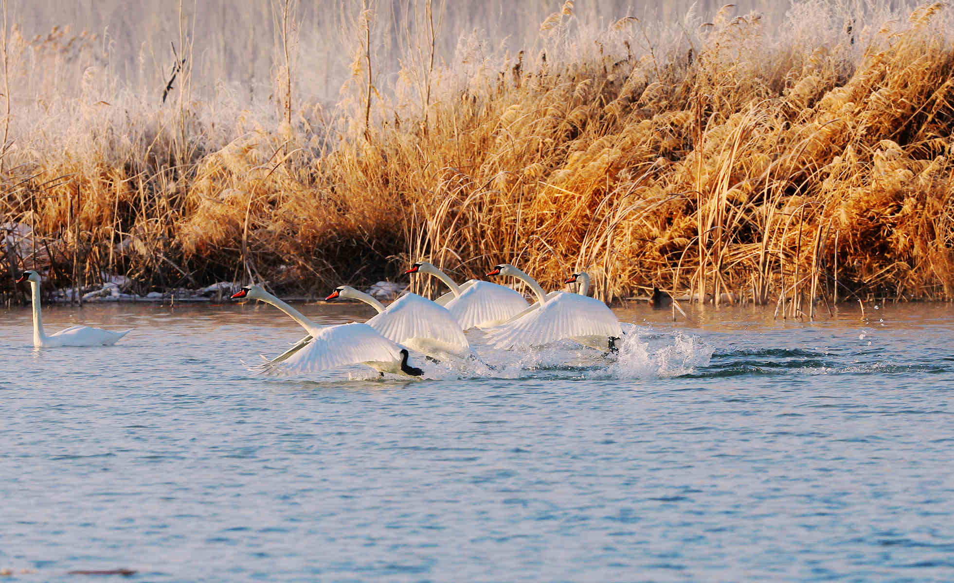 �Ķ����� (1).jpg