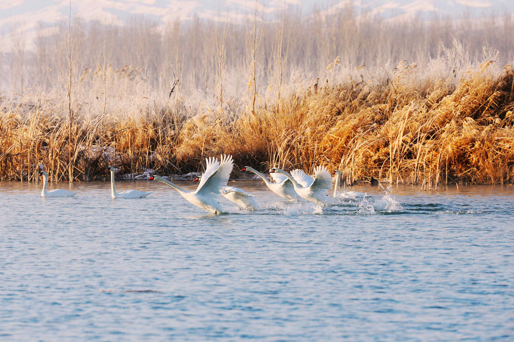 �Ķ����� (2).jpg