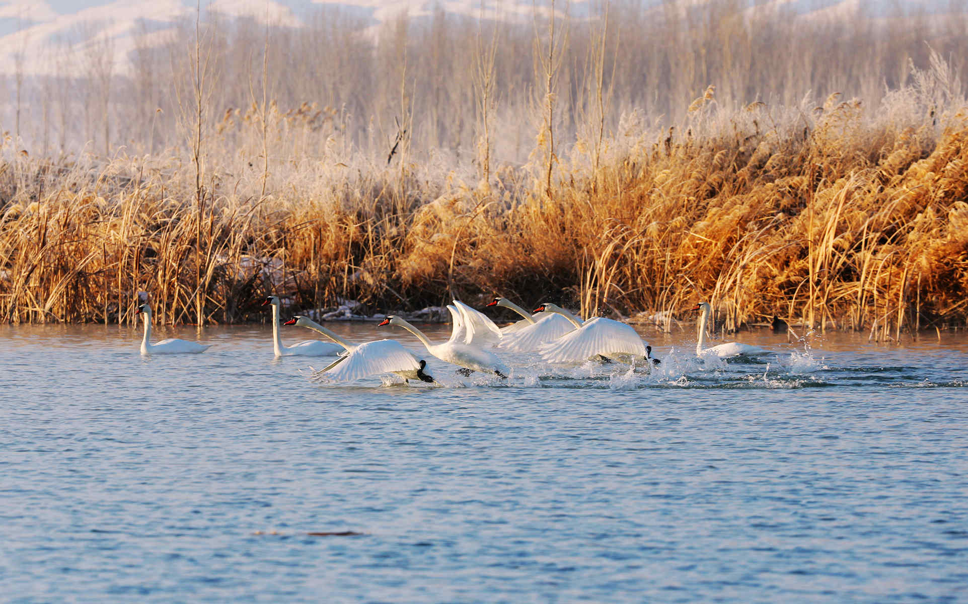 �Ķ����� (3).jpg