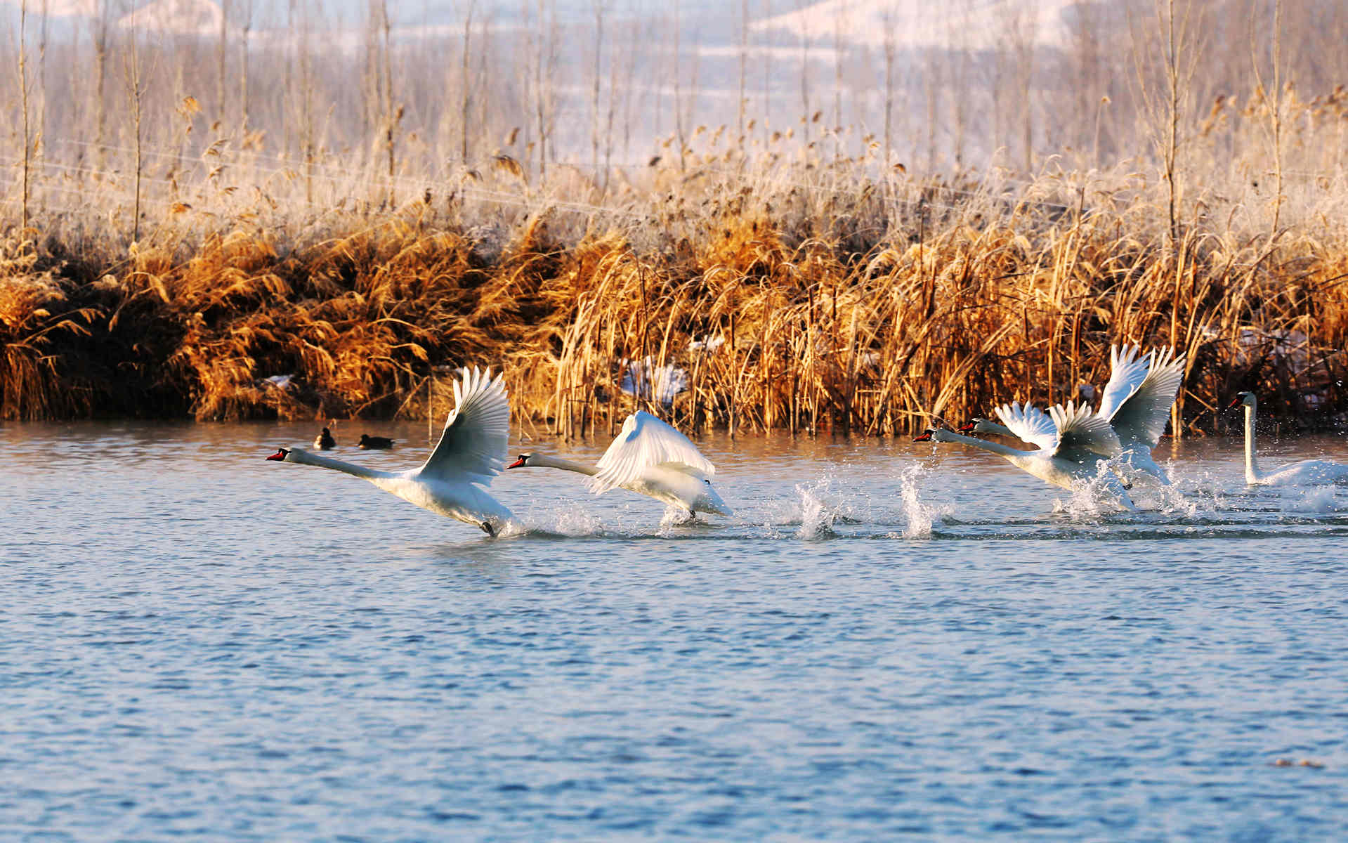 �Ķ����� (4).jpg