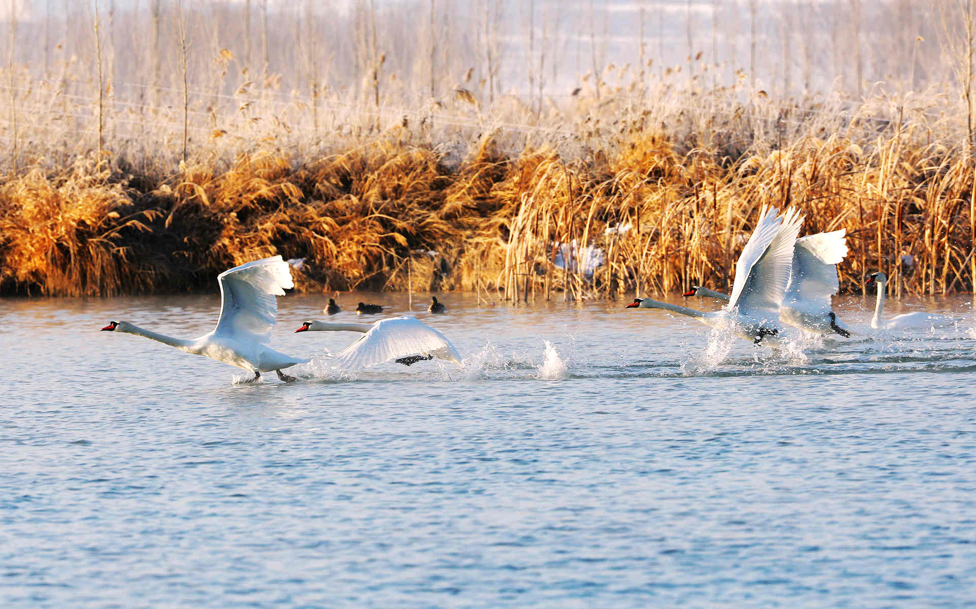 �Ķ����� (5).jpg