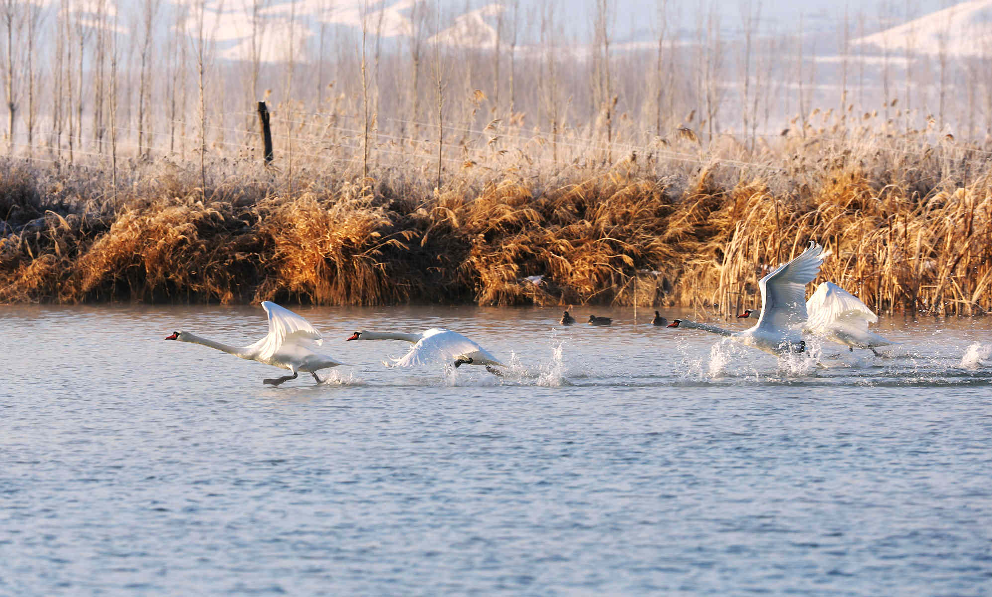 �Ķ����� (6).jpg