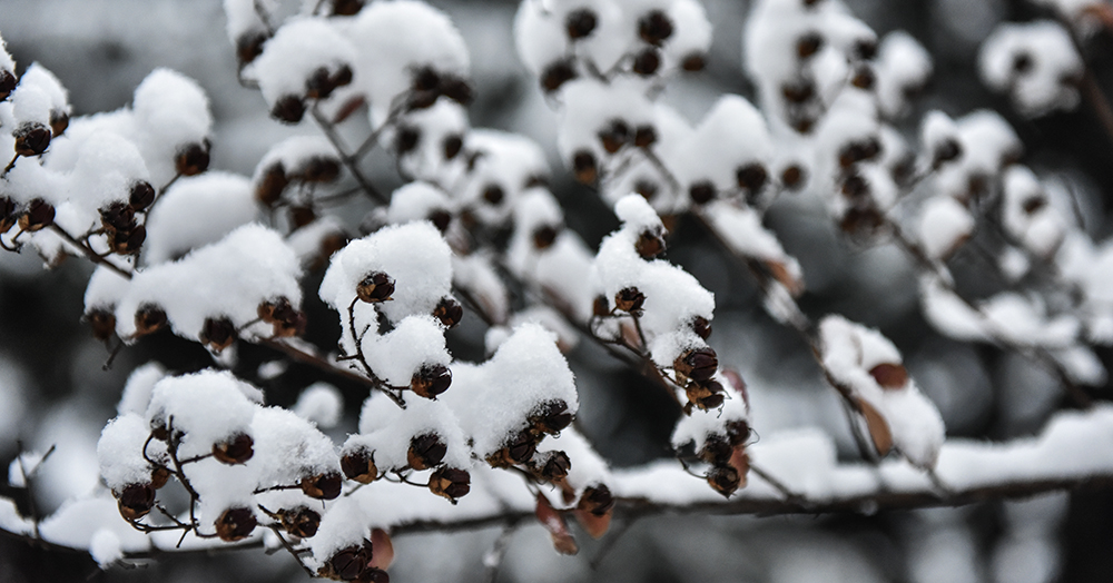 2015��3��8��ѩ a0101.jpg