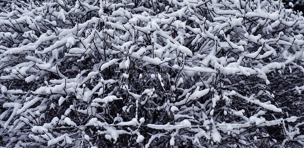 2015��3��8��ѩ a0091.jpg