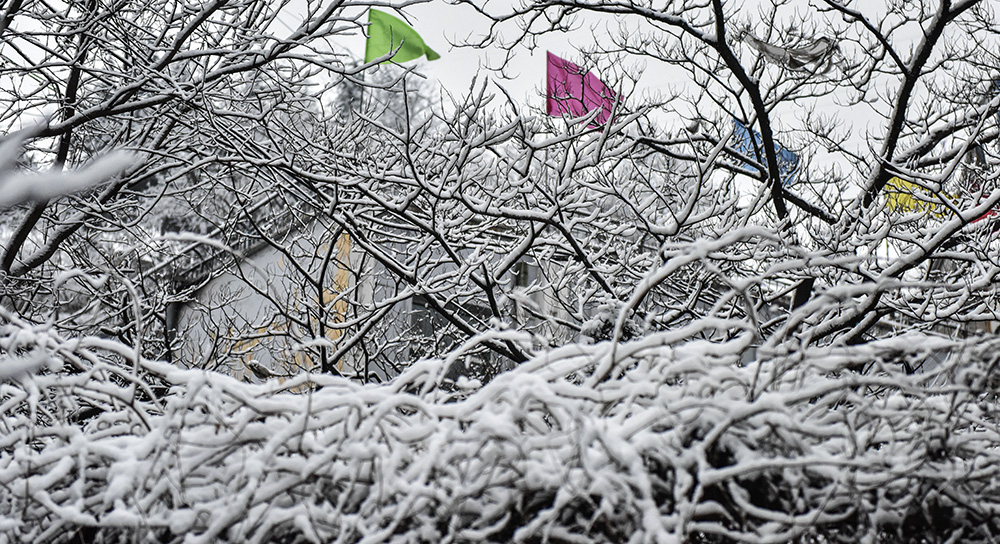 2015��3��8��ѩ a0121.jpg