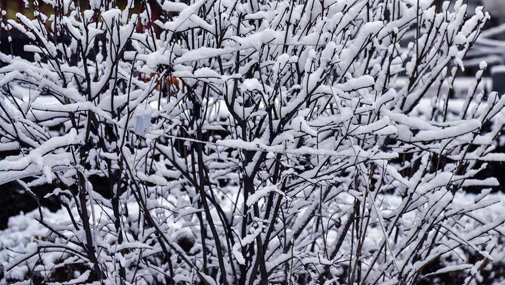 2015��3��8��ѩ a0141.jpg