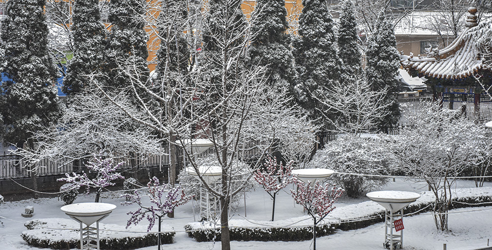 2015��3��8��ѩ a0161.jpg