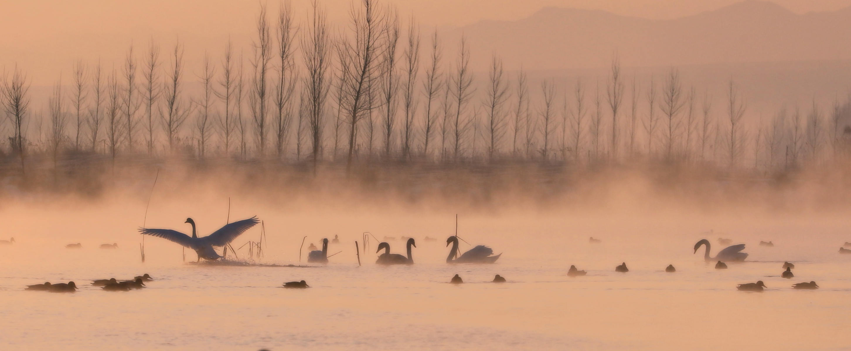 �������� 1.jpg