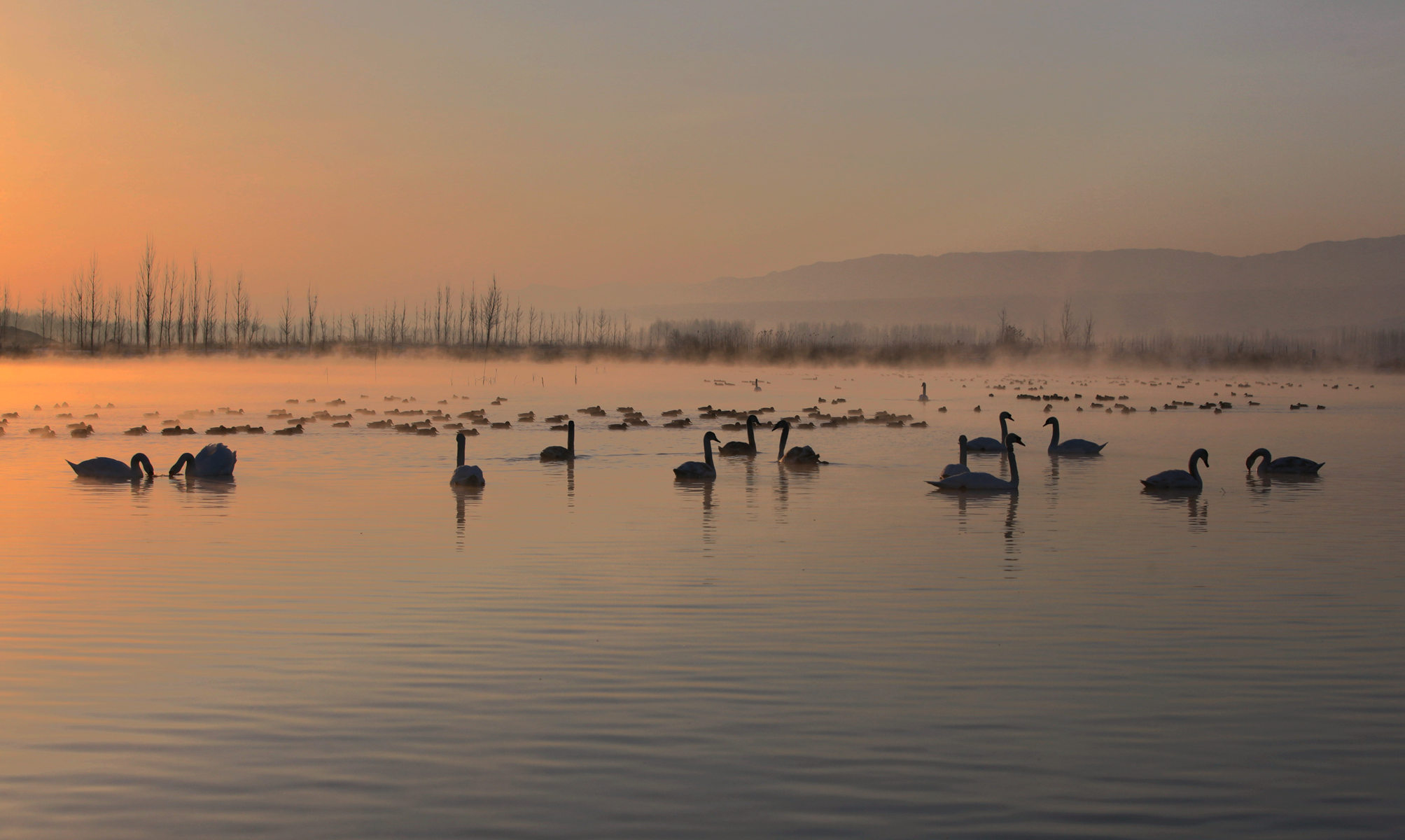 �������� 2.jpg