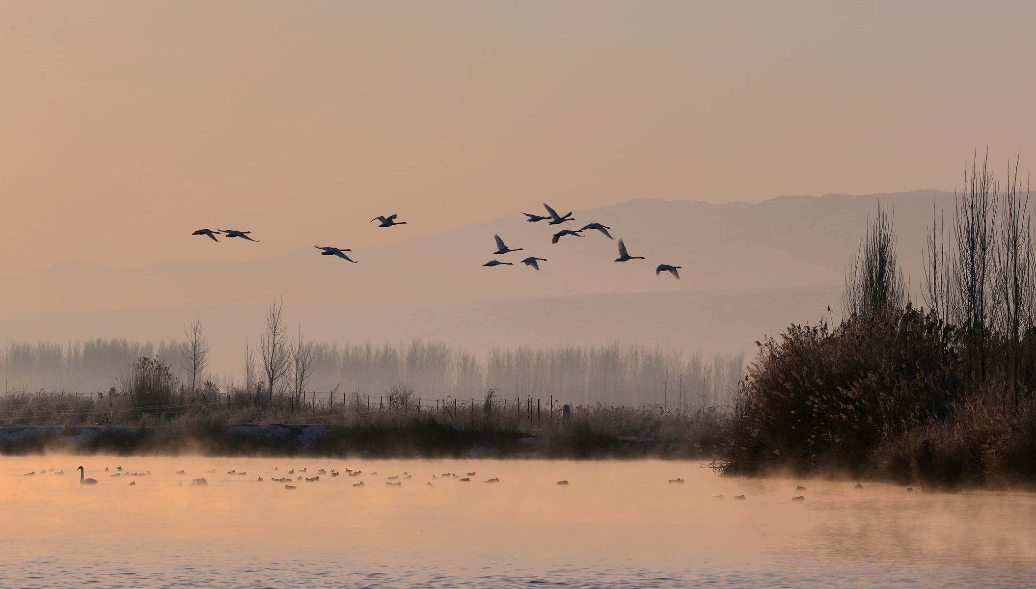 �������� 3.jpg