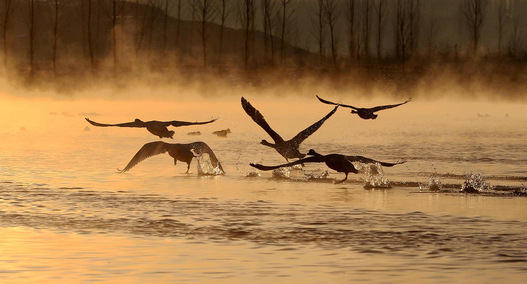 �������� 4.jpg