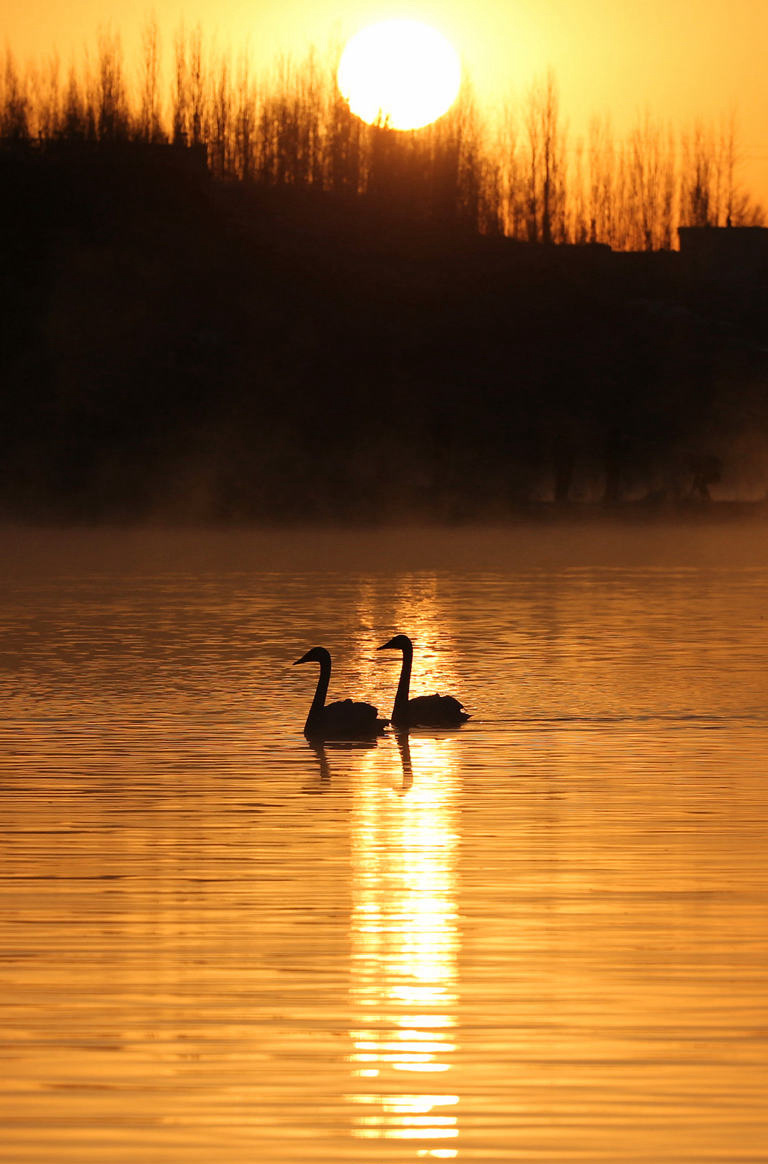 �������� 5.jpg